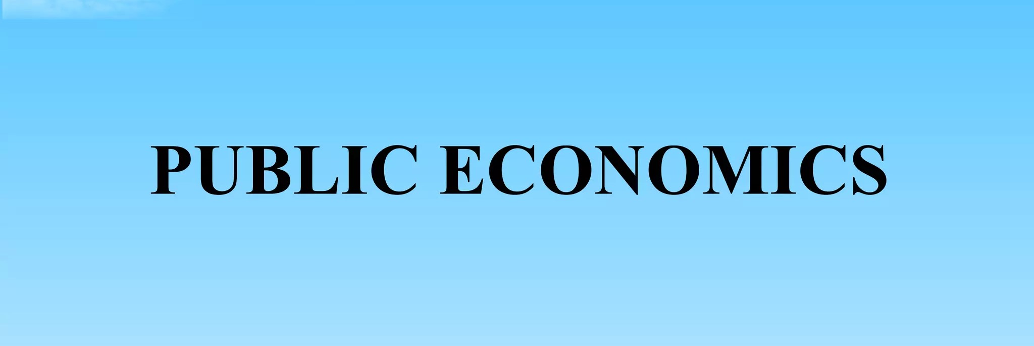PUBLIC ECONOMICS I