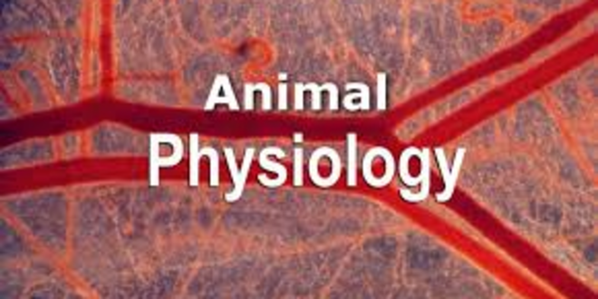 ANIMAL PHYSIOLOGY 