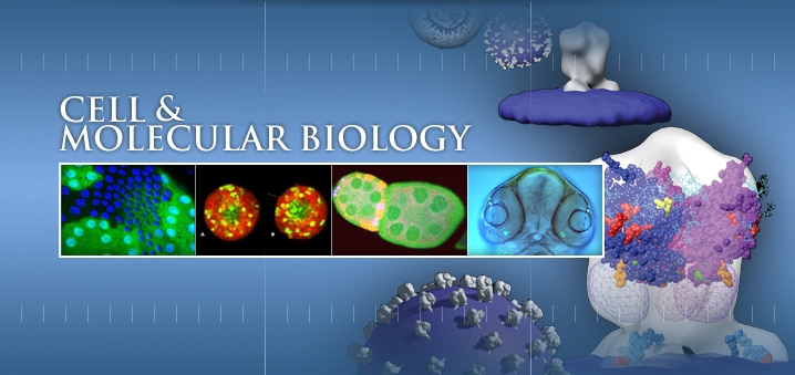 Cell biology and Molecular biology
