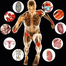 HUMAN PHYSIOLOGY AND IMMUNOLOGY