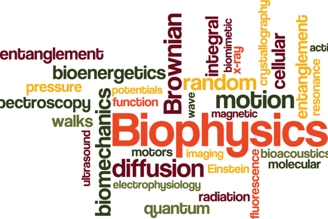 Perspective of Science, Methodology and General Informatics: BIOPHYSICS