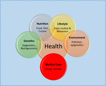 Human Genetics Nutrition Community Health And Sanitation