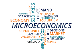 PRINCIPLES OF MICRO ECONOMICS