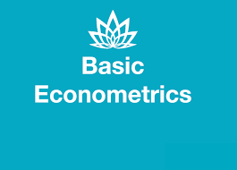 BASIC ECONOMETRICS (2020-22)